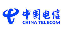 杭州宝力塑胶篮球场施工案例中国电信